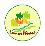 lomas huasi