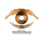profesionales
